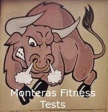 Fitness Tests Challenge Students